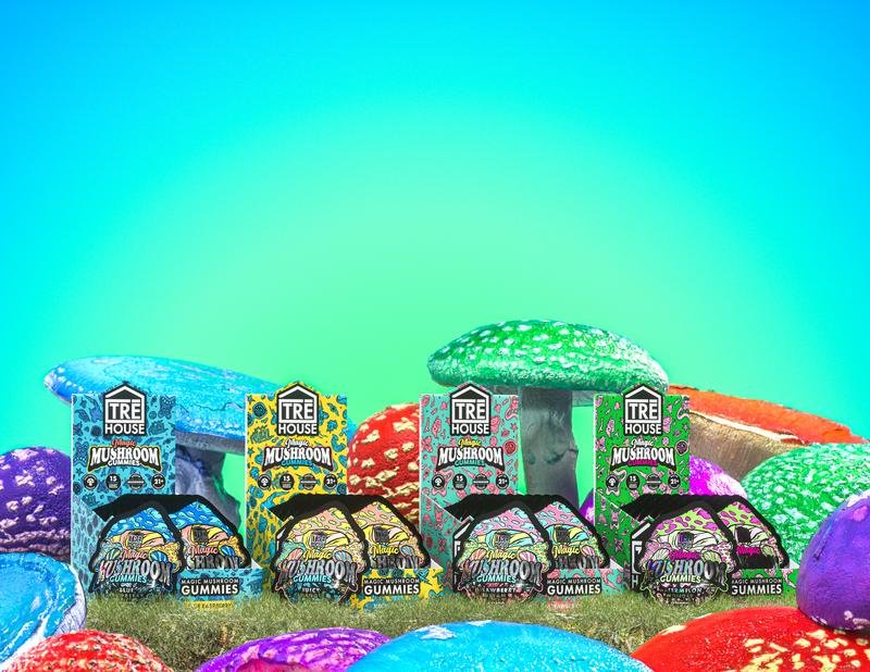 Mushroom Products