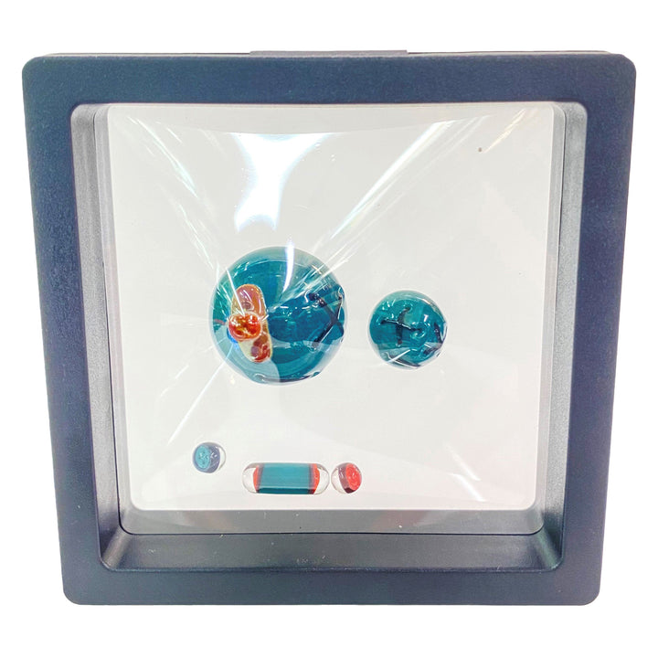 Muller Glass - 5 Piece Slurper Set - Turquoise