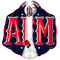 AFM - Vaso deportivo de 18" - Medias Rojas de Boston