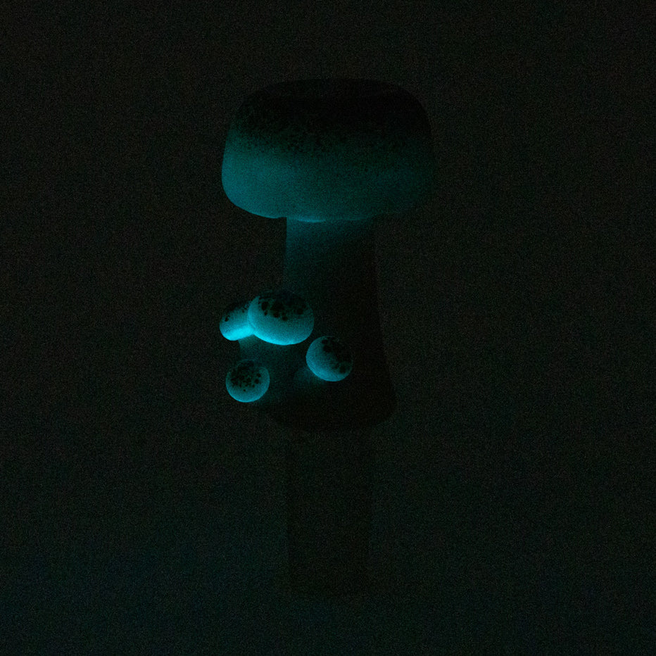 Empire Glassworks Mushroom Glow Slide 14mm glowing blue-green in the dark – cap, stem and baby mushrooms lit