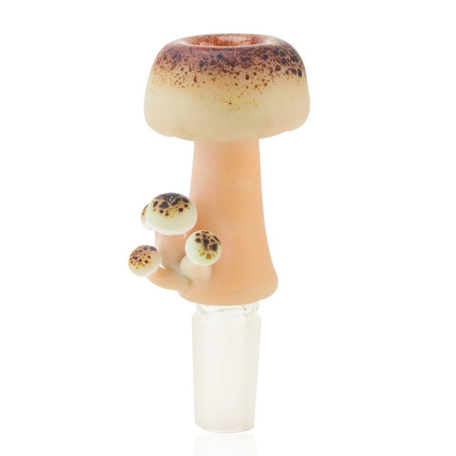 Empire Glassworks Mushroom Glow Slide 14mm – speckled cream mushroom bowl piece with peach stem and baby mushrooms, front view