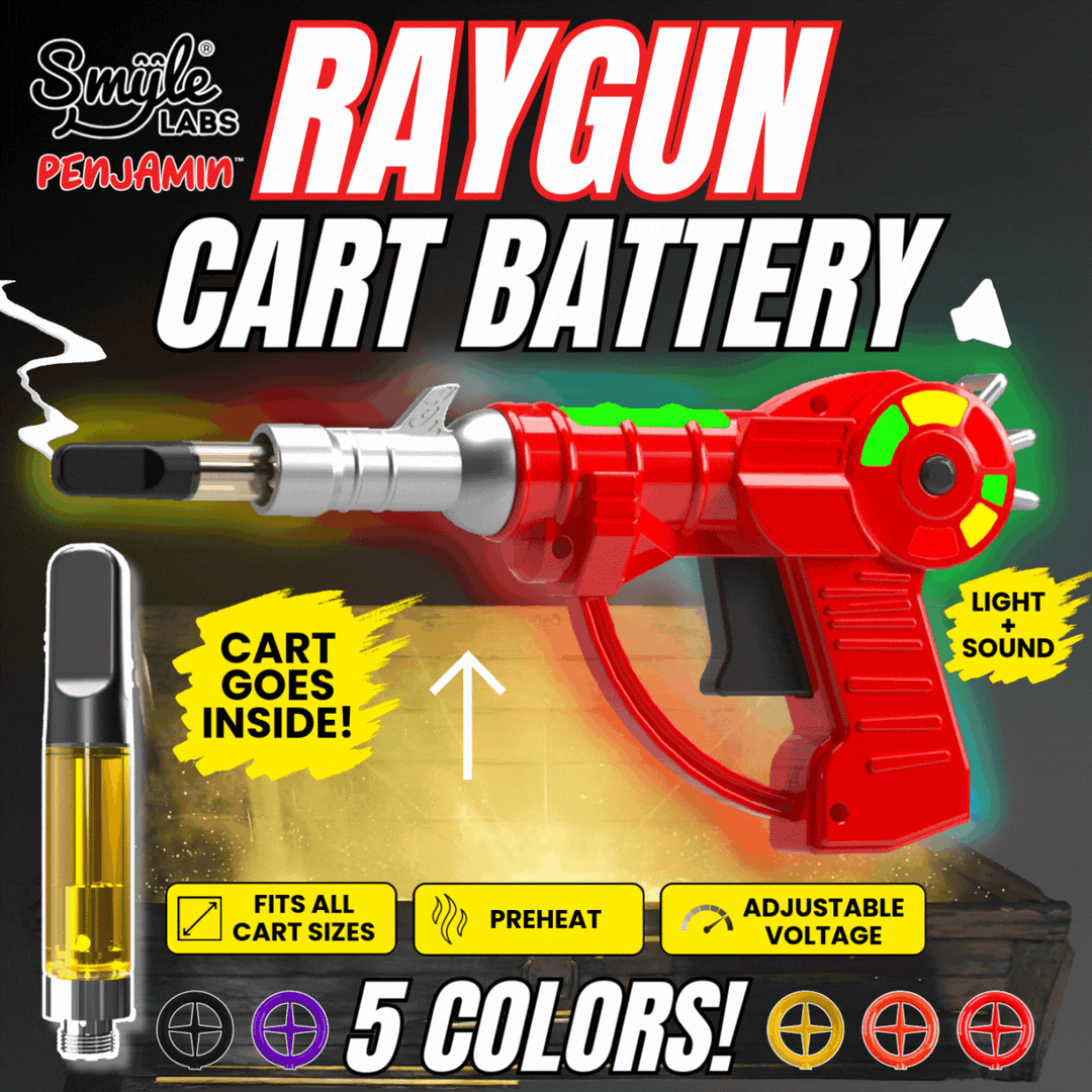 USB-C charging port on Raygun Battery by Smyle Labs